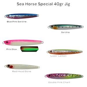 Sea Horse Special 40gr Jig